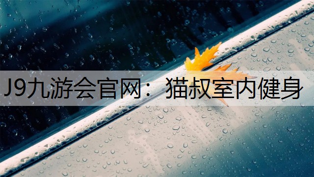 J9九游会官网：猫叔室内健身