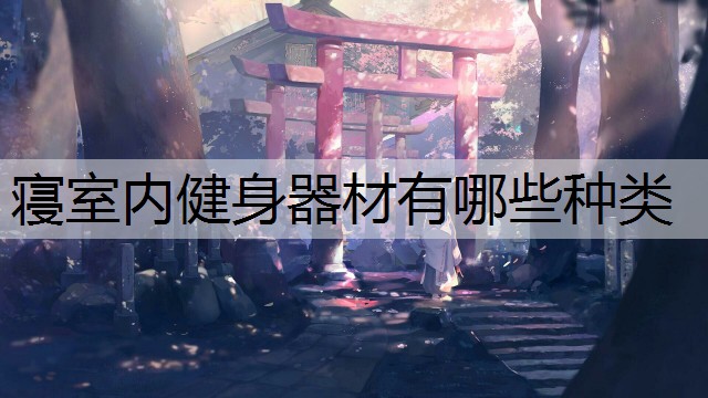 寝室内健身器材有哪些种类