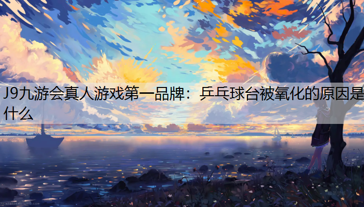 J9九游会真人游戏第一品牌：乒乓球台被氧化的原因是什么