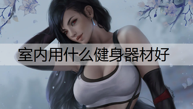 室内用什么健身器材好