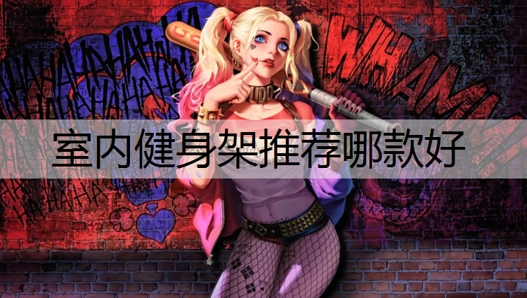 室内健身架推荐哪款好