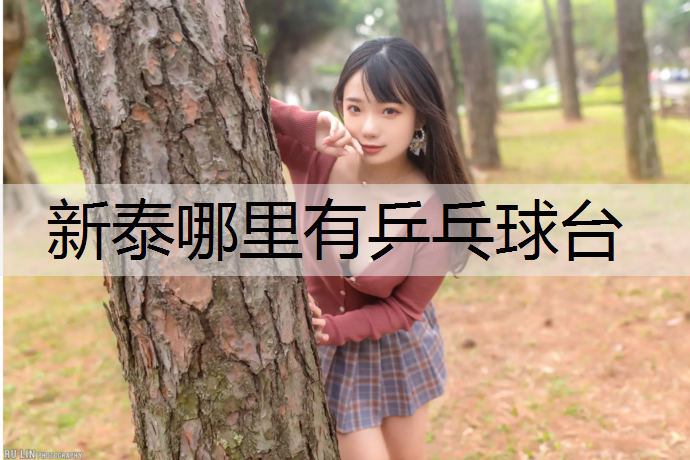 新泰哪里有乒乓球台