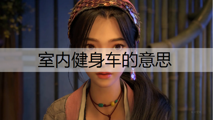 室内健身车的意思