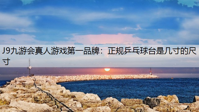 正规乒乓球台是几寸的尺寸