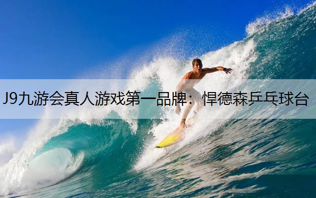 悍德森乒乓球台
