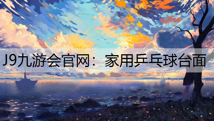 家用乒乓球台面