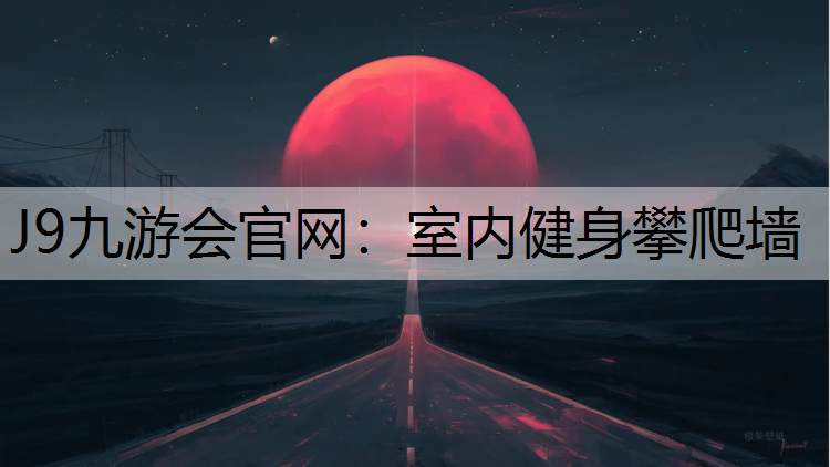 室内健身攀爬墙