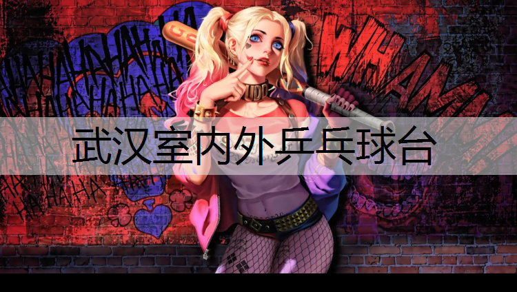 武汉室内外乒乓球台