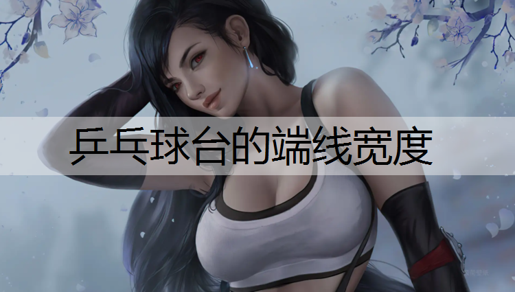 乒乓球台的端线宽度