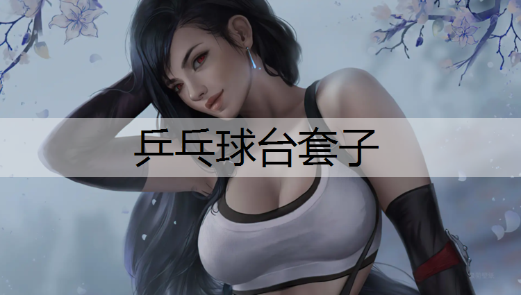 乒乓球台套子 乒乓球台套子
