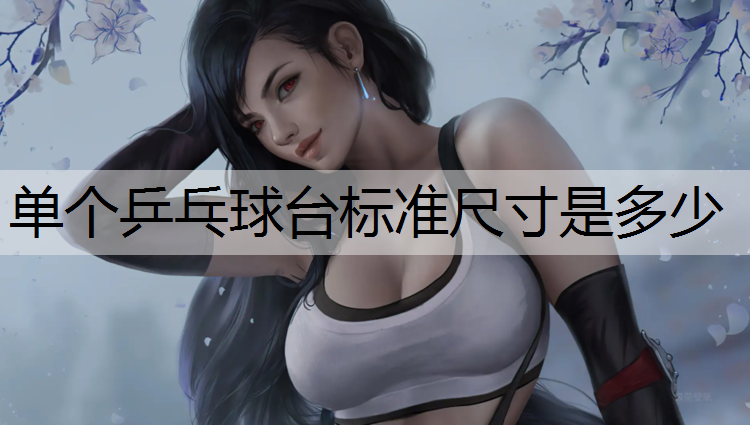 单个乒乓球台标准尺寸是多少