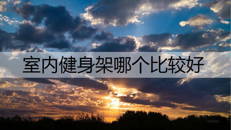 室内健身架哪个比较好