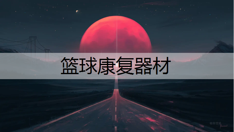 篮球康复器材