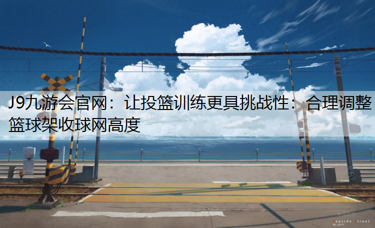 让投篮训练更具挑战性：合理调整篮球架收球网高度